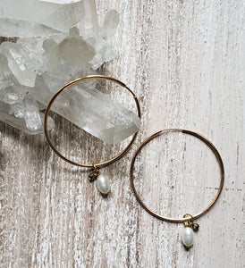 EARRING - HOOP - EAR-262 -  Gold Filled with Fresh Pearl